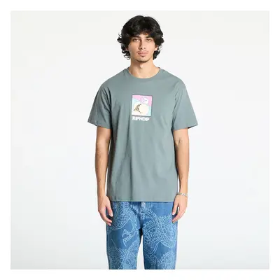 Tričko RIPNDIP Peaches And Nerm Tee Charcoal