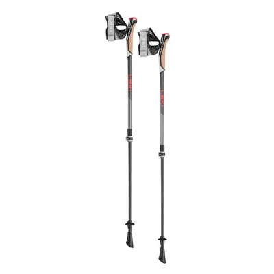 Nordic Walking hole LEKI Instructor Lite