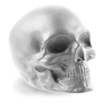 Rukojeť nábytku Candellana Knob Scull Bald