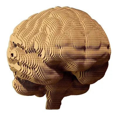 3D puzzle Cartonic Brain