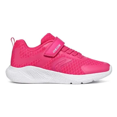 Dětské sneakers boty Geox SPRINTYE fialová barva