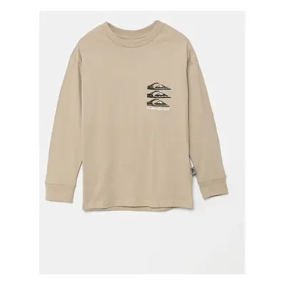 Dětské bavlněné tričko s dlouhým rukávem Quiksilver VINTAGE MIX LS béžová barva, s potiskem, EQB