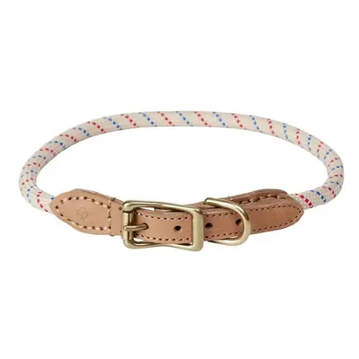 Psí obojek OYOY Perry Dog Collar M