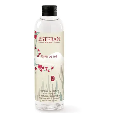 Náplň do aroma difuzéru Esteban Esprit de thé 250 ml více barev