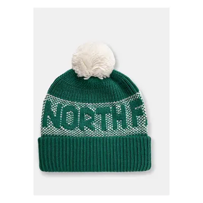 Čepice The North Face Retro Cabin Beanie zelená barva, z husté pleteniny, NF0A88QW84O1