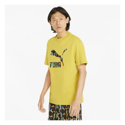 Puma HC Graphic Tee Bamboo