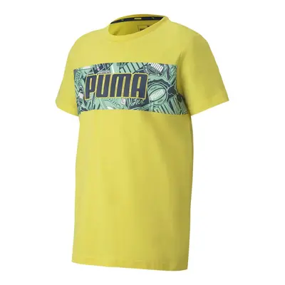 Puma Alpha Graphic Tee B