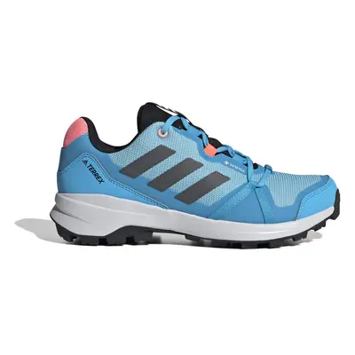 adidas TERREX SKYHIKER GTX W