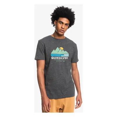 Quiksilver scenicrecovery m tees