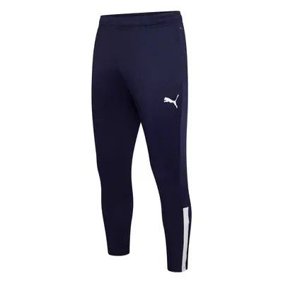 Puma teamLIGA Training Pants