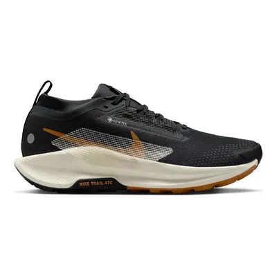 Nike Pegasus Trail GORE-TEX