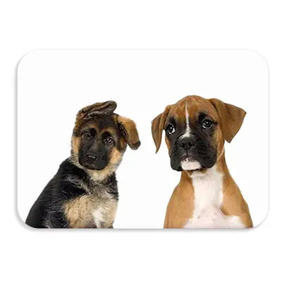 Dětská podložka na stůl 56x37 cm DOGS & CATS Varianta: Pawli