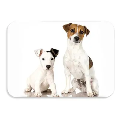 Dětská podložka na stůl 56x37 cm DOGS & CATS Varianta: Spotti