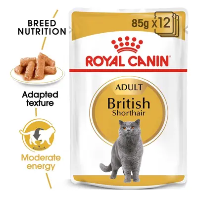 ROYAL CANIN British Shorthair Adult pro britské krátkosrsté kočky 48 × 85 g