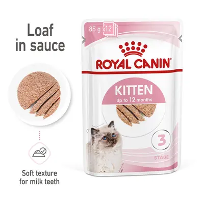 ROYAL CANIN KITTEN kapsička pěna pro koťata 12 × 85 g