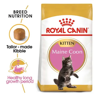 ROYAL CANIN Maine Coon granule pro koťata 4 kg