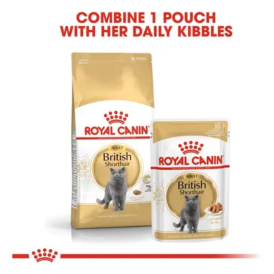 ROYAL CANIN ADULT British Shorthair 2 kg + kapsičky v omáčce 12× 85 g