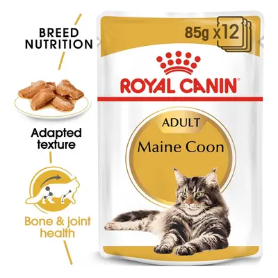 ROYAL CANIN Maine Coon Adult granule pro kočky 12 × 85 g