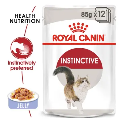 ROYAL CANIN INSTINCTIVE kapsička pro kočky v želé 48 × 85 g