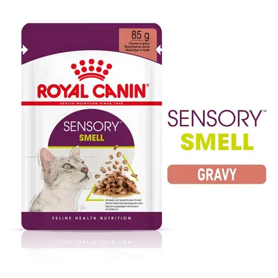 Royal Canin Sensory Smell Gravy 12 × 85 g