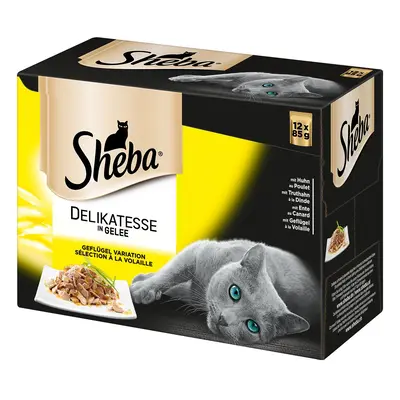 Sheba Delikatesse drůbeží maso v želé variace 12 × 85 g