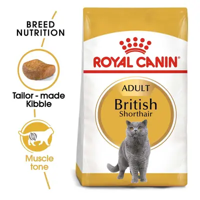 ROYAL CANIN British Shorthair granule pro britské krátkosrsté kočky 2 × 10 kg