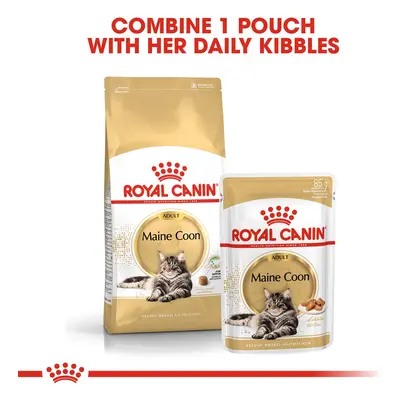 ROYAL CANIN ADULT Maine Coon 10 kg + kapsičky v omáčce 48× 85 g