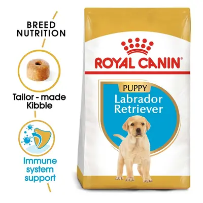 ROYAL CANIN Labrador Retriever Puppy granule pro štěňata 2 × 12 kg