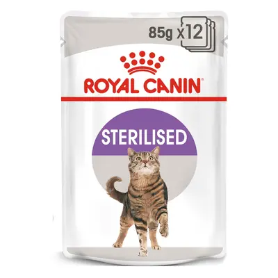 ROYAL CANIN STERILISED v želé pro kastrované kočky 12 × 85 g