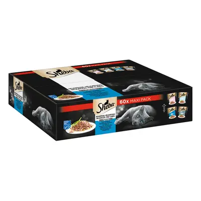 SHEBA multipack delikatesa v želé variace ryb 60 × 85 g