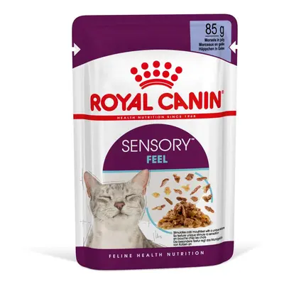 Royal Canin Sensory Feel Jelly 12 × 85 g