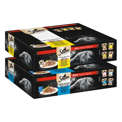 Sheba Mega-Multipack, kapsičky v omáčce nebo želé, 120 × 85 g