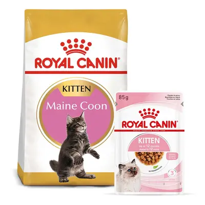 ROYAL CANIN KITTEN Maine Coon 4 kg + Kitten v omáčce 12× 85 g