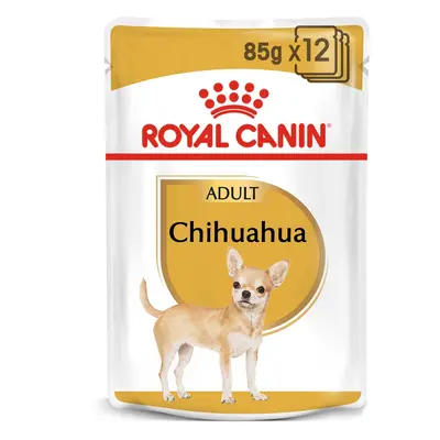 ROYAL CANIN Chihuahua Adult kapsička pro psy 12× 85 g