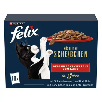 FELIX lahodné plátky, variace chutí z venkova 10 × 80 g