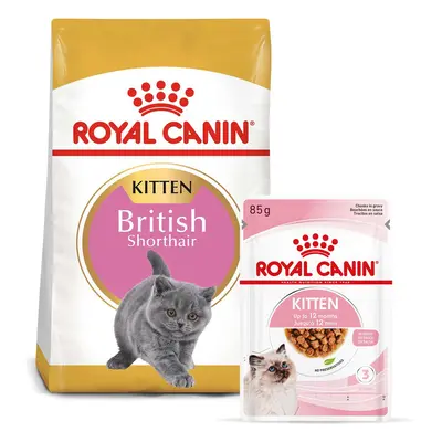 ROYAL CANIN KITTEN British Shorthair 2 kg + Kitten v omáčce 12× 85 g