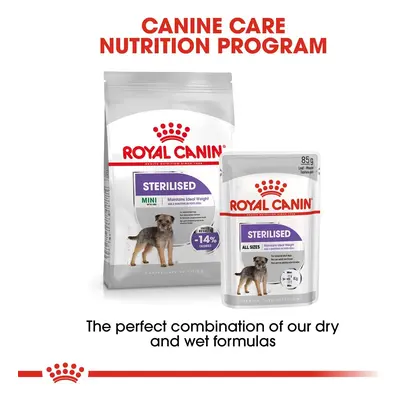 ROYAL CANIN STERILISED MINI 8 kg + STERILISED Mousse 12× 85 g