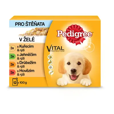 Pedigree Junior kapsičky masový výběr s rýží v želé 12 x 100 g