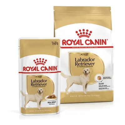 ROYAL CANIN Labrador Retriever Adult 3 kg + Labrador Adult v omáčce 10× 140 g