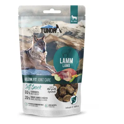 Tundra Dog Snack Gelenk Fit pamlsek s jehněčím masem 3x100g