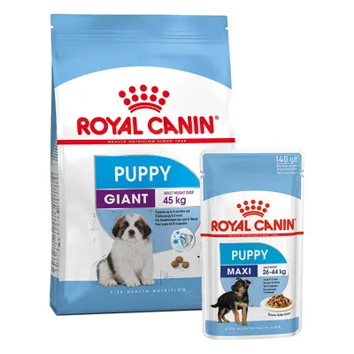 ROYAL CANIN Giant Puppy 3,5 kg + Maxi Puppy v omáčce 10× 140 g