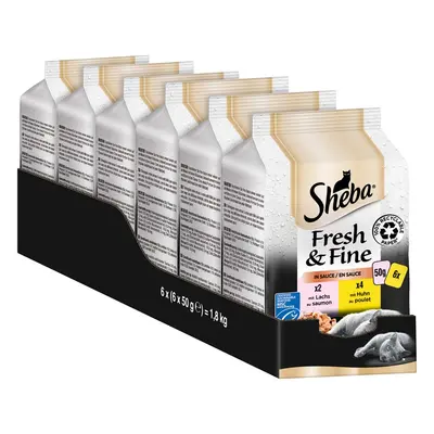 Sheba Fresh & Fine v omáčce s kuřecím masem a lososem 72 × 50 g