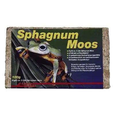 Lucky Reptile Sphagnum Moos 100 g