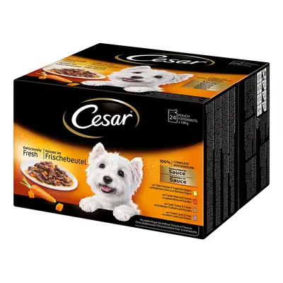 Cesar Feines Favoriten v omáčce 24 × 100 g