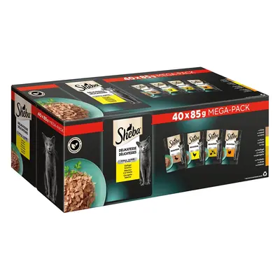 Sheba Delikatessen multipack variac, drůbež v želé, 40 x 85 g