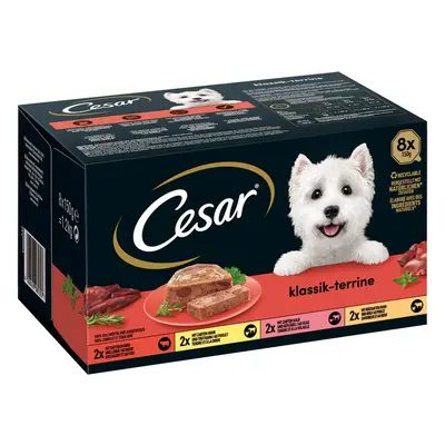 CESAR klasická paštika Terrine, 4 druhy 64 × 150 g