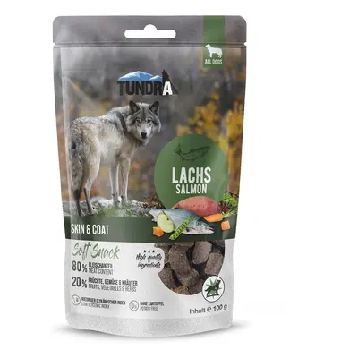 Tundra Dog Snack Skin & Coat losos 100 g