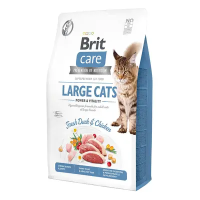 Brit Care GF Large Cats Power & Vitality 2 kg