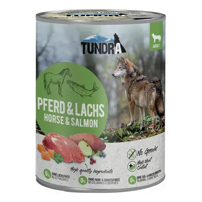 Tundra Dog koňské maso a losos 6 × 800 g