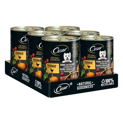 CESAR NATURAL GOODNESS kuřecí 12× 400 g